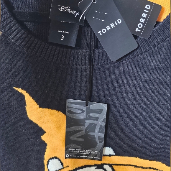 Torrid Sweater Womens 3 Disney Winnie The Pooh Halloween Long Sleeve Pullover - Picture 6 of 9